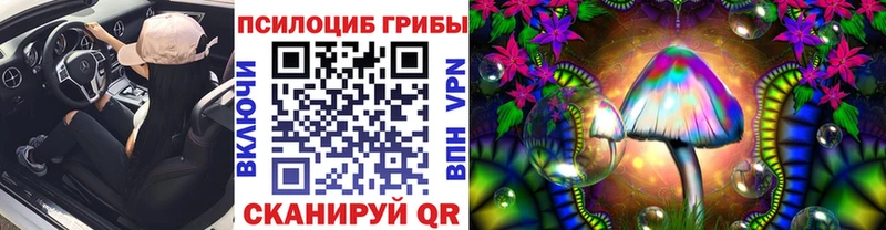 Галлюциногенные грибы MAGIC MUSHROOMS  магазин  наркотиков  кракен tor  Новодвинск 